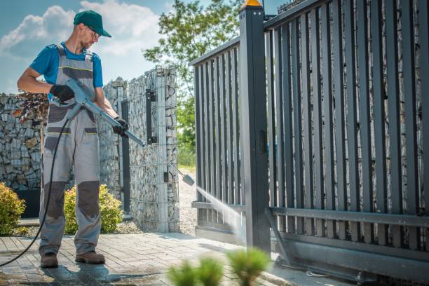 Best Graffiti Removal  in Fris, CO